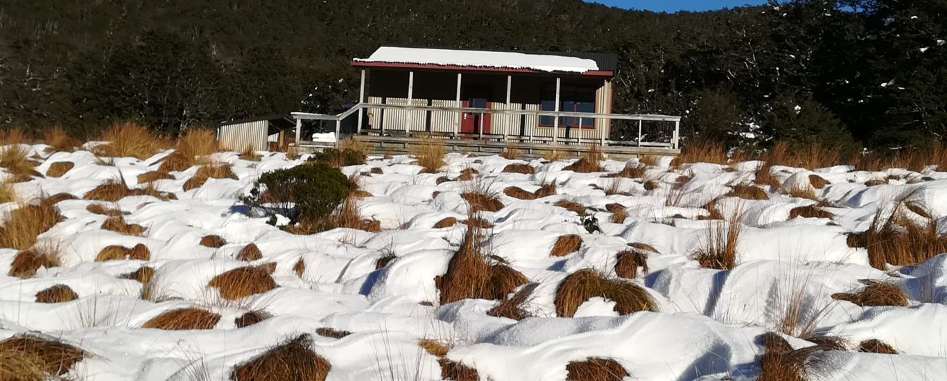 Cabane speargrass hut