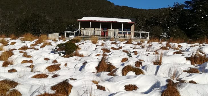 Ma cabane en forêt. Speargrass track