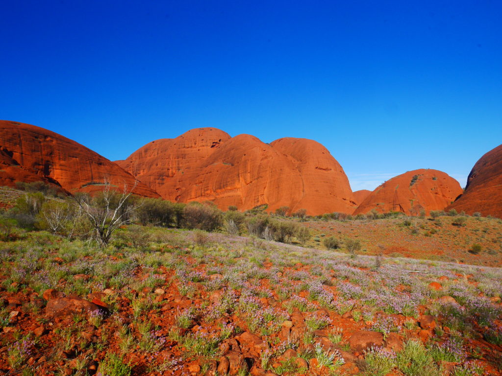 Australia Kata Tjuta